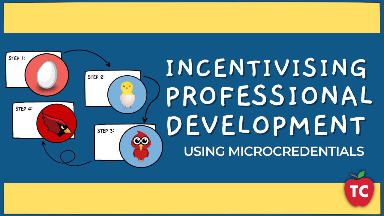 Incentivising Professional Development